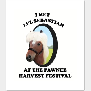 I MET LIL SEBASTIAN Posters and Art